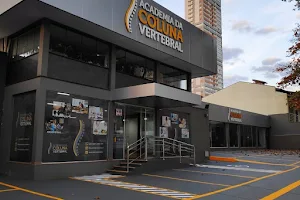 Academia da Coluna Vertebral image