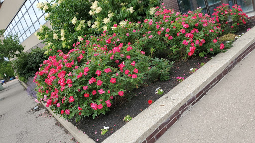 Charity «Chester F. Carlson MetroCenter YMCA», reviews and photos, 444 E Main St, Rochester, NY 14604, USA