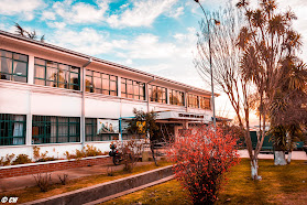 Liceo Manuel Montt de San Javier