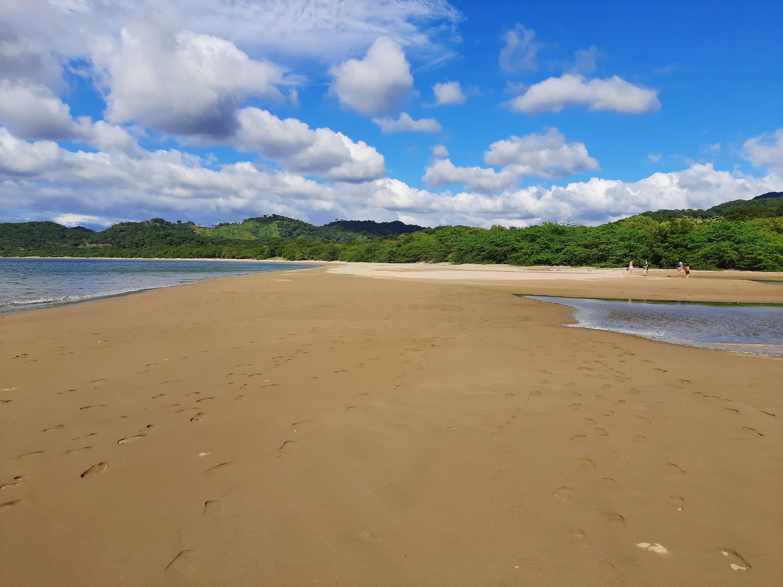 Zdjęcie Junquillal beach z poziomem czystości wysoki