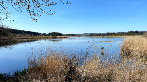 Maisinger See