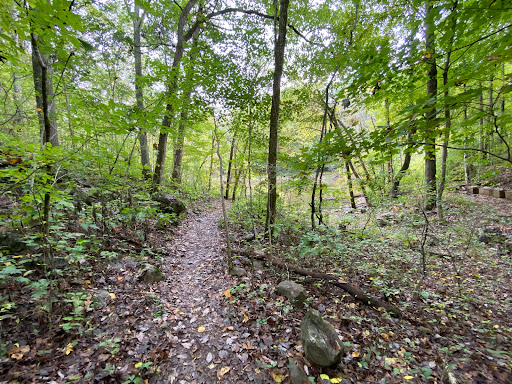 Johnson Ridge Small Wild Area