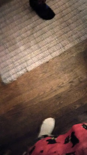 Discount Store «Dollar General», reviews and photos, 30 E Independence St, Shamokin, PA 17872, USA