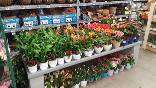 Home Improvement Store «The Home Depot», reviews and photos, 5010 Feather River Dr, Stockton, CA 95219, USA