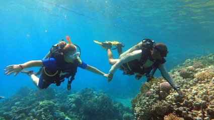 Mr.Diver