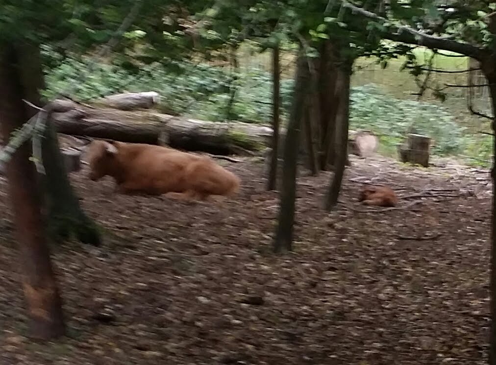 Photo n° 2 de l'avis de Josiane.e fait le 20/10/2019 à 08:41