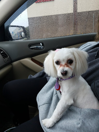 Pet Supply Store «PetSmart», reviews and photos, 400 Universal Dr N, North Haven, CT 06473, USA