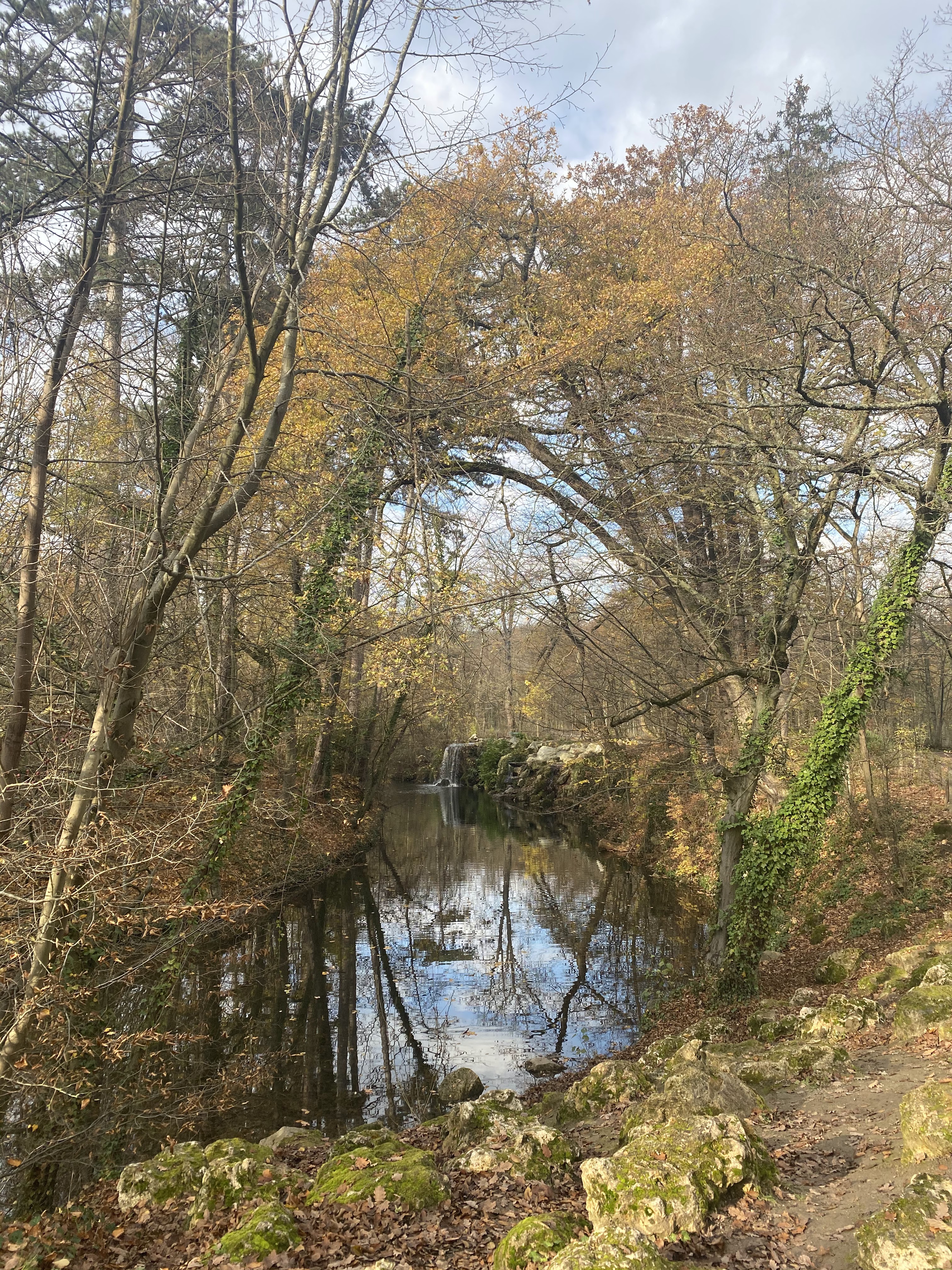 Photo n° 9 de l'avis de Gaelle.T fait le 12/02/2023 à 10:18