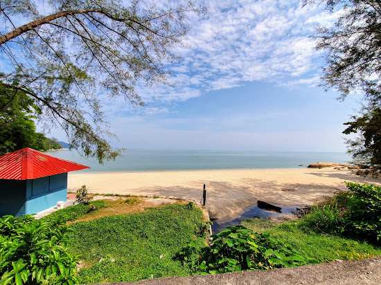 Tropical Beach
