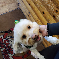 Camp Bow Wow Lawrenceville, NJ - Photo 9 - Car repair in Lawrenceville, NJ, Trenton