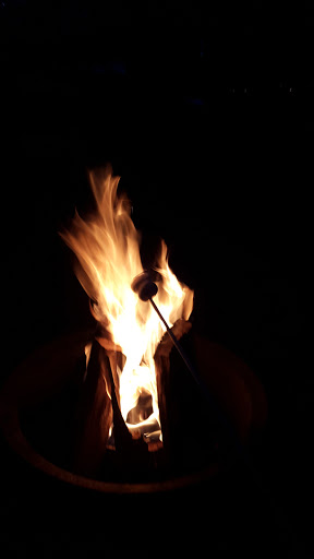 Campground «Sea Grove Camping Resort», reviews and photos, 2665 U.S. 9, Ocean View, NJ 08230, USA