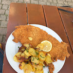 Photo n°1 de l'avis de HonzH. fait le 01/08/2023 à 09:04 sur le  Opel's Sonnenhof owner Manuela Hagel à Bindlach