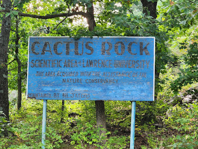 Cactus Rock