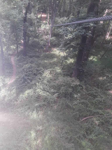Recreation Center «Go Ape Zip Line & Treetop Adventure - Rock Creek Regional Park», reviews and photos, 6129 Needwood Lake Dr, Rockville, MD 20855, USA