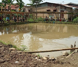 Ridho Fishing Ponds photo