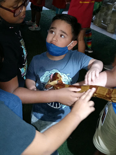 Day Care Center «Little Wonderland Child Care», reviews and photos, 531 W Malone Ave, San Antonio, TX 78214, USA