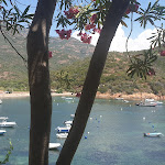 Photo n° 4 de l'avis de Patrick. fait le 04/07/2019 à 21:05 pour Restaurant Le Bon Espoir à Osani