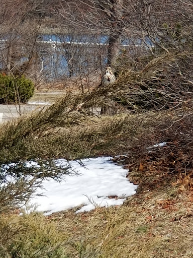 State Park «Abigail Adams State Park», reviews and photos, 770 Bridge St, Weymouth, MA 02188, USA