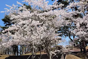 Kimigaoka Park image
