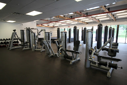 THE GYM BOXING AND FITNESS - 6941 SW 196th Ave Unit 3, Pembroke Pines, FL 33332