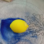 Photo n°4 de l'avis de anna.a fait le 22/08/2023 à 07:33 sur le  Masaniello Restaurant à Maiori