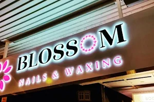 Blossom Nails & Waxing image