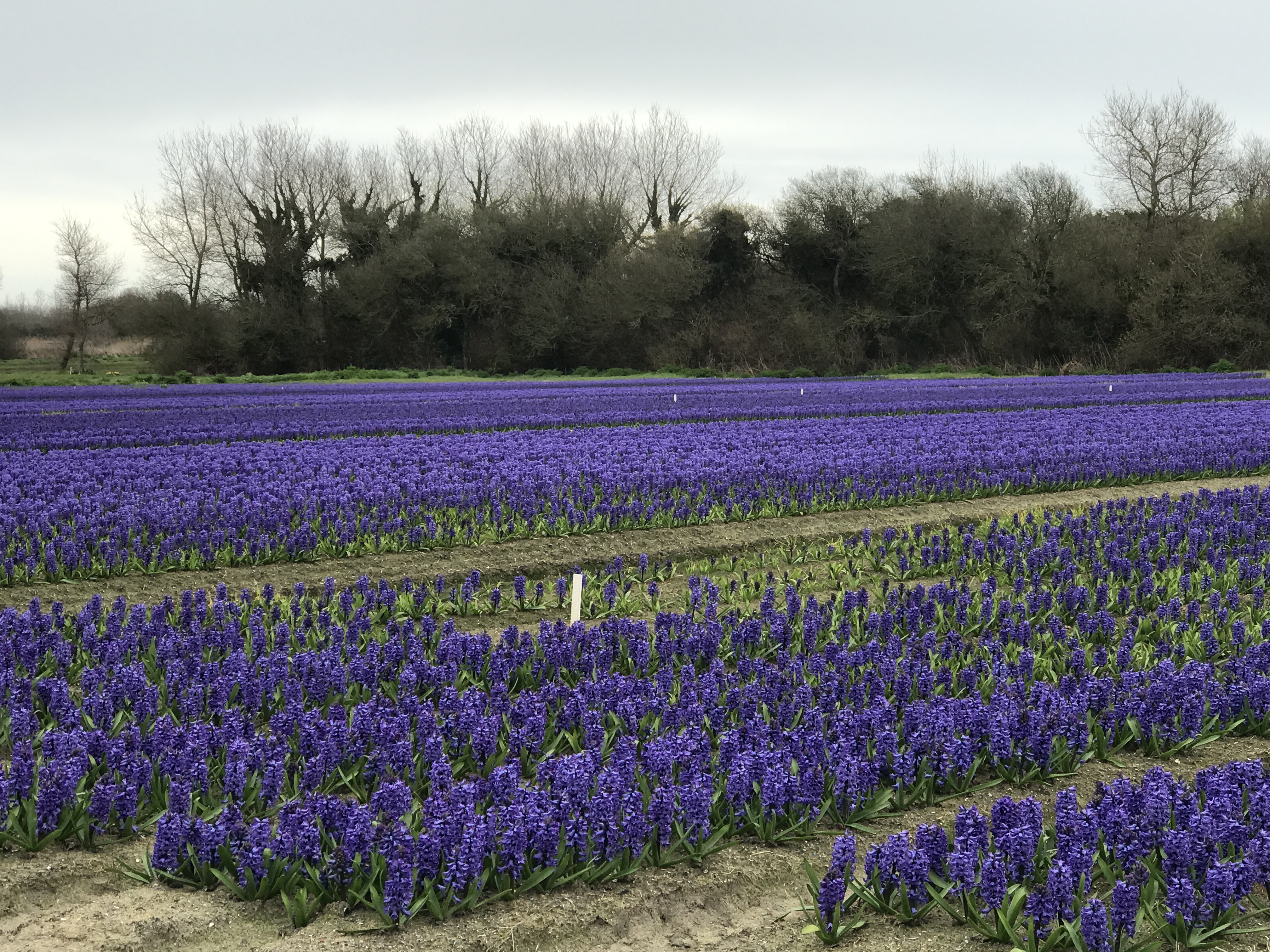 Photo n° 5 de l'avis de Jean-Marie.U fait le 11/03/2022 à 10:42