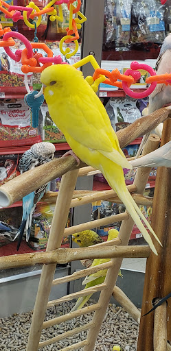 Pet Supply Store «Petco Animal Supplies», reviews and photos, 12163 Sheridan Blvd, Broomfield, CO 80020, USA