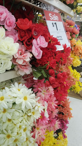 Craft Store «Michaels», reviews and photos, 751 N Hwy 67, Cedar Hill, TX 75104, USA