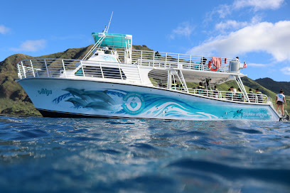 Dolphins and You: Watch Dolphins in Oahu