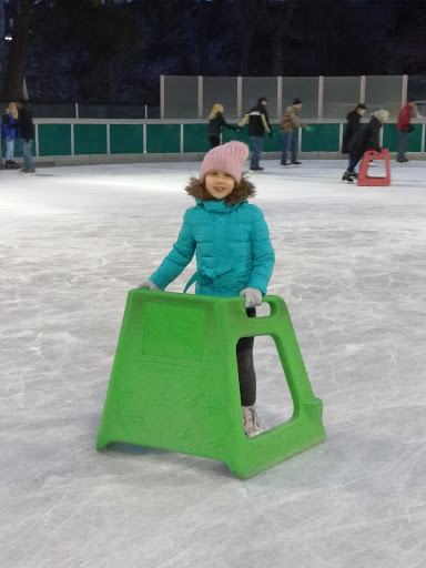 Schenley Park Ice Skating Rink