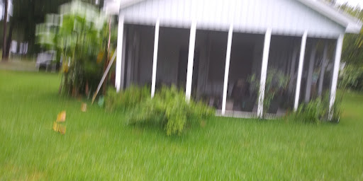 National Forest «Francis Marion National Forest», reviews and photos, 2967 Steed Creek Rd, Huger, SC 29450, USA