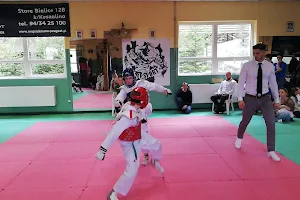 Taekwondo Siłownia image