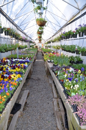 Florist «Guaranteed Plants & Florist», reviews and photos, 504 Locust Point Rd, Rumson, NJ 07760, USA