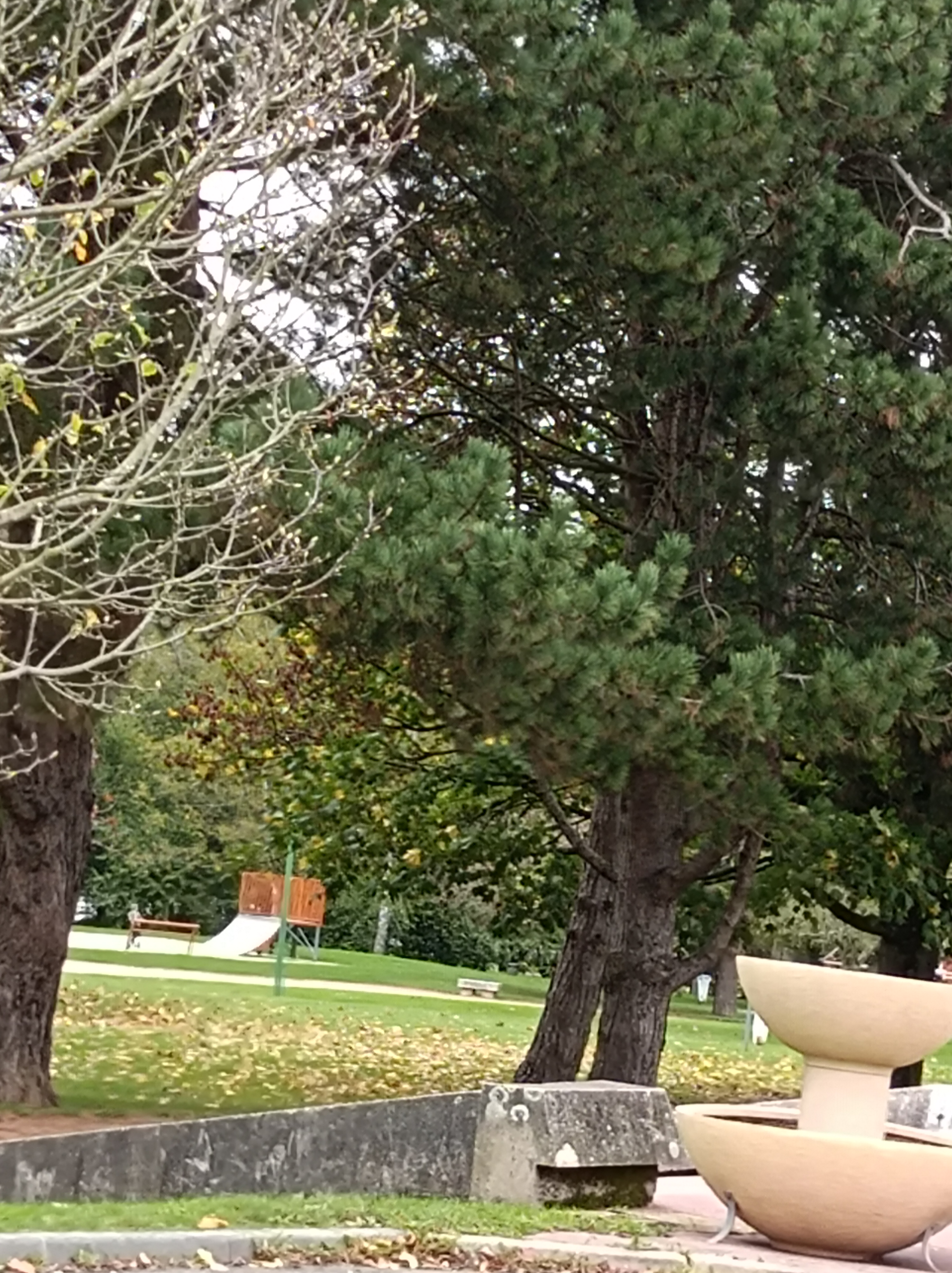 Photo n° 1 de l'avis de Marie-Claire.E fait le 05/11/2022 à 15:22
