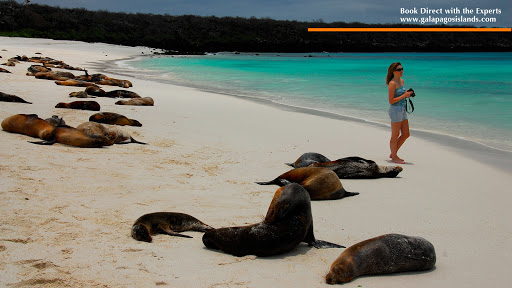 Galapagos Travel Center