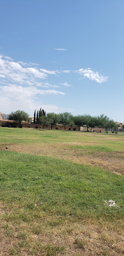 Park «Chuckwalla Park», reviews and photos, 4600 E Doral Dr, Chandler, AZ 85249, USA