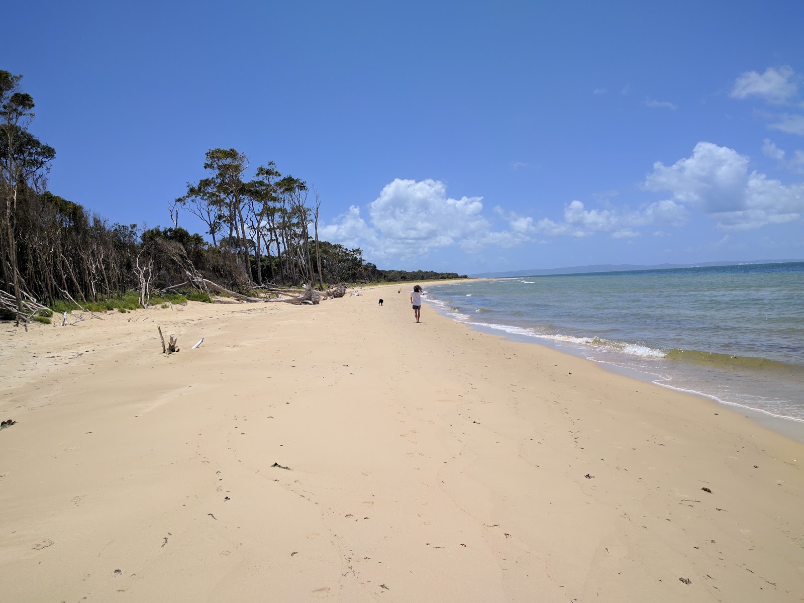 Photo de Red Beach avec rivage droit, long