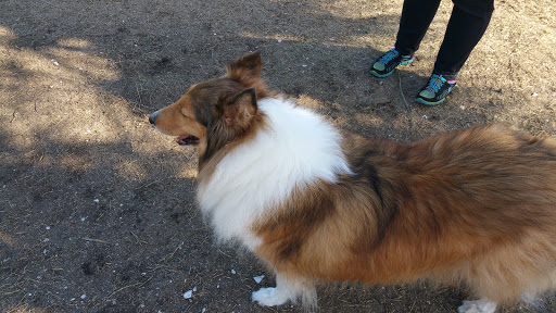 Park «Al Helms Dog Park», reviews and photos, 1022 Balboa Ave, Panama City, FL 32401, USA