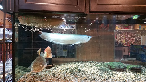 Pet Store «Miles of Exotics», reviews and photos, 8350 N Broadway, Kansas City, MO 64118, USA