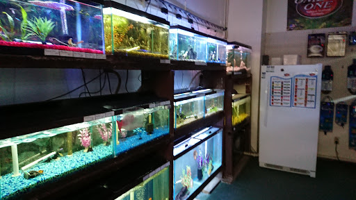Pet Store «Aquatic Pets», reviews and photos, 414 Division St S, Northfield, MN 55057, USA