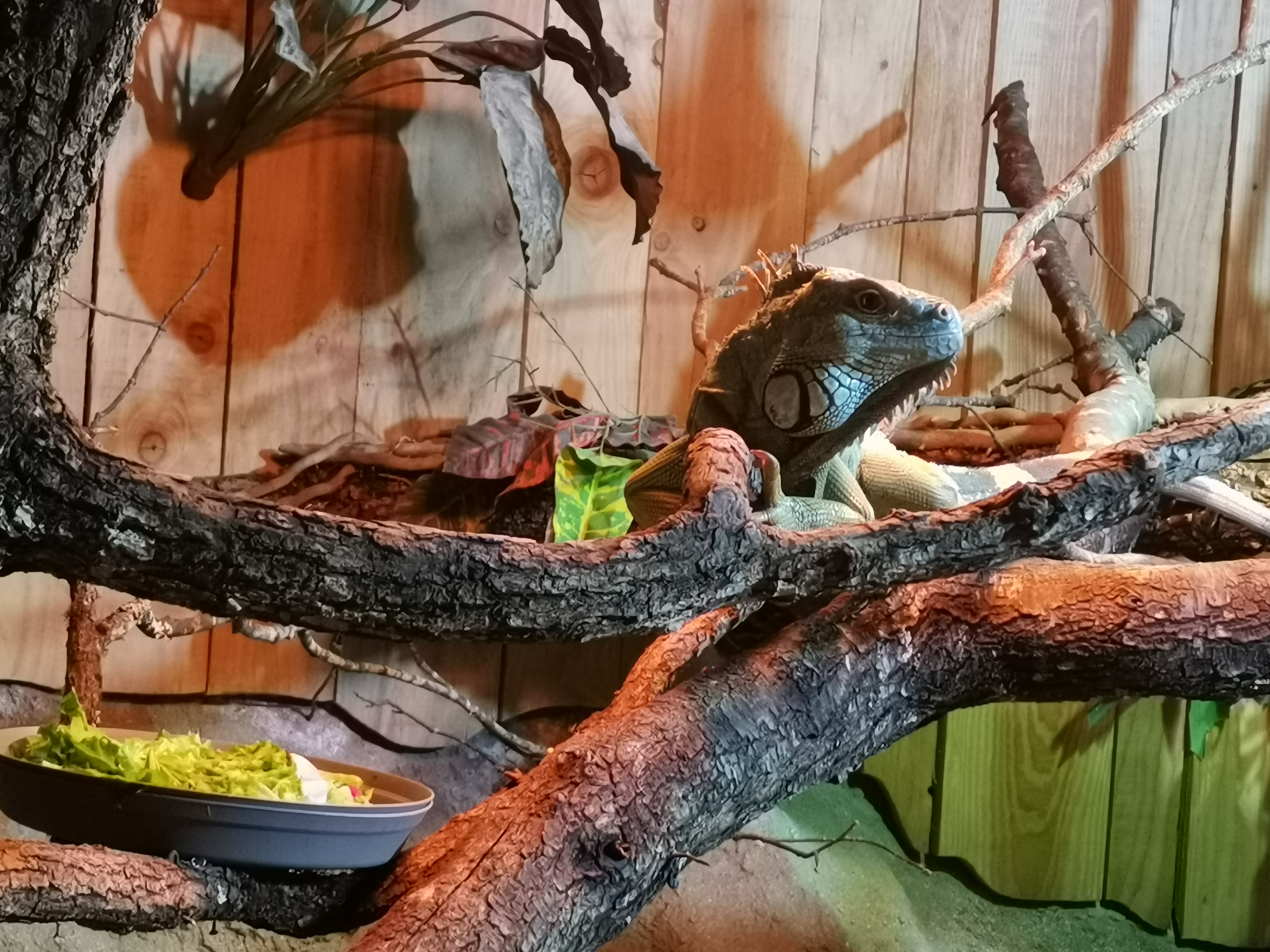 Photo n° 16 de l'avis de Jerome.a fait le 23/10/2021 à 18:04