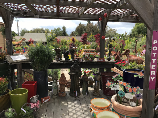 Florist «Cherry Lane Nursery», reviews and photos, 436 Traffic Way, Arroyo Grande, CA 93420, USA