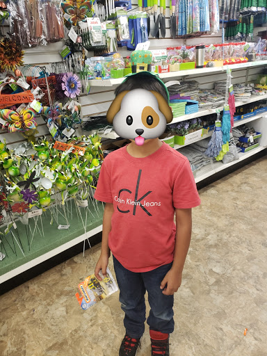 Dollar Store «Dollar Tree», reviews and photos, 10639 Sepulveda Blvd, Mission Hills, CA 91345, USA