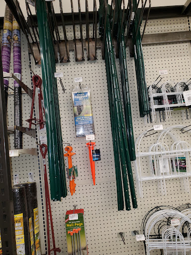 Home Improvement Store «True Value Hardware», reviews and photos, 1302 Centerville Rd, Wilmington, DE 19808, USA