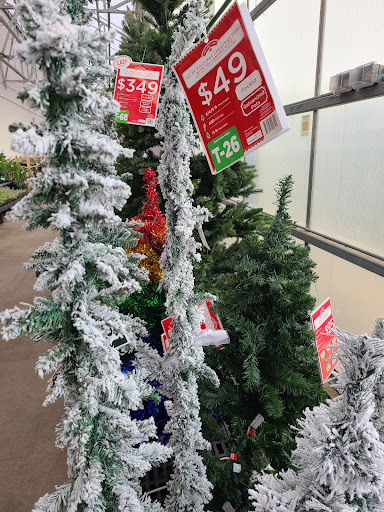 Discount Store «Walmart», reviews and photos, 55 Brooksby Village Way, Danvers, MA 01923, USA