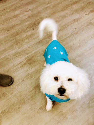 Pet Supply Store «Sonoma Pet and Aquatics», reviews and photos, 201 W Napa St #7, Sonoma, CA 95476, USA