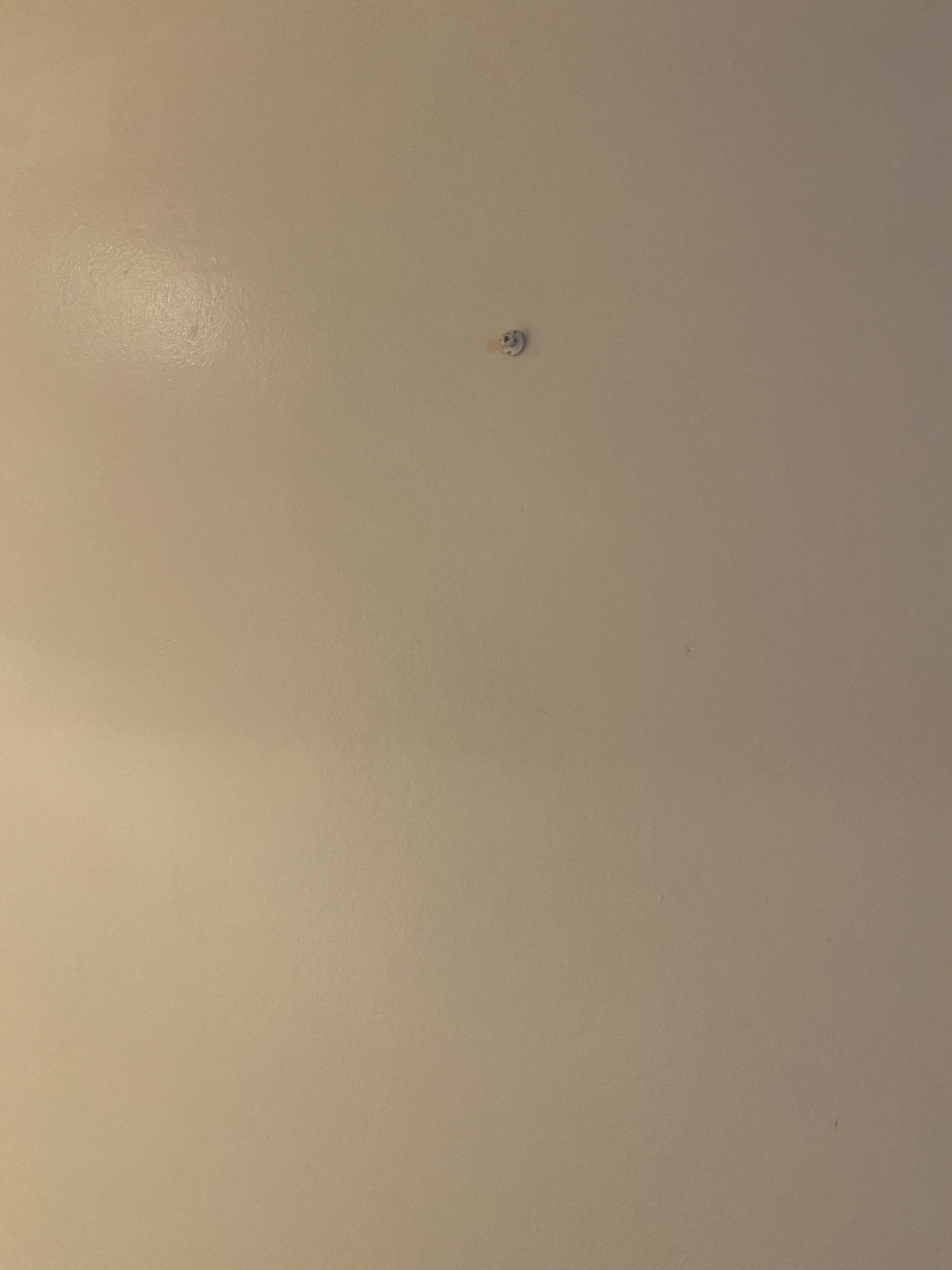 Photo n° 9 de l'avis de Elio.a fait le 29/10/2023 à 14:53