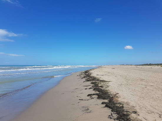 Hidrovor beach