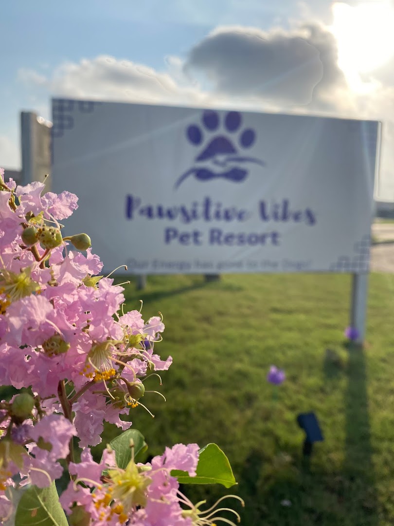 Pawsitive Vibes Pet Resort